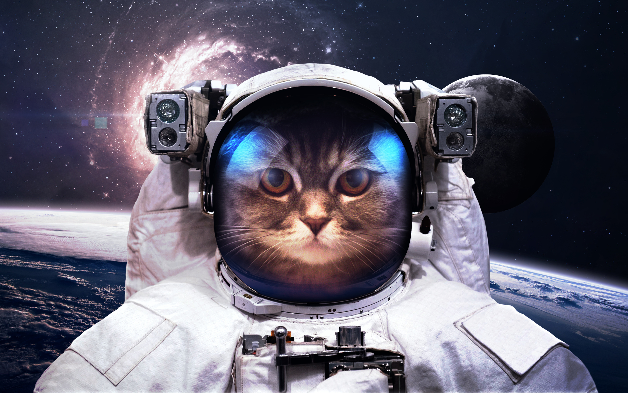 Cat Astronaut in outer space. Spacewalk. Elements of this image